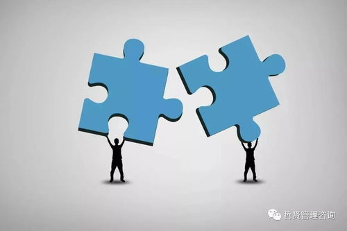 企業管理的五種職能與七大原則 構建高效組織的核心框架